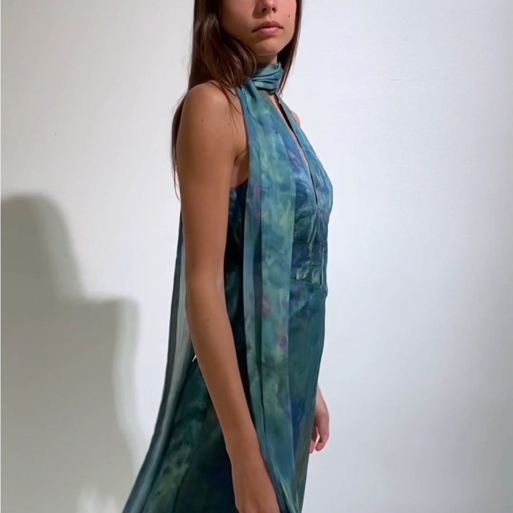 RARE - NWT Monet Dress - Irises - Picture 4 of 8